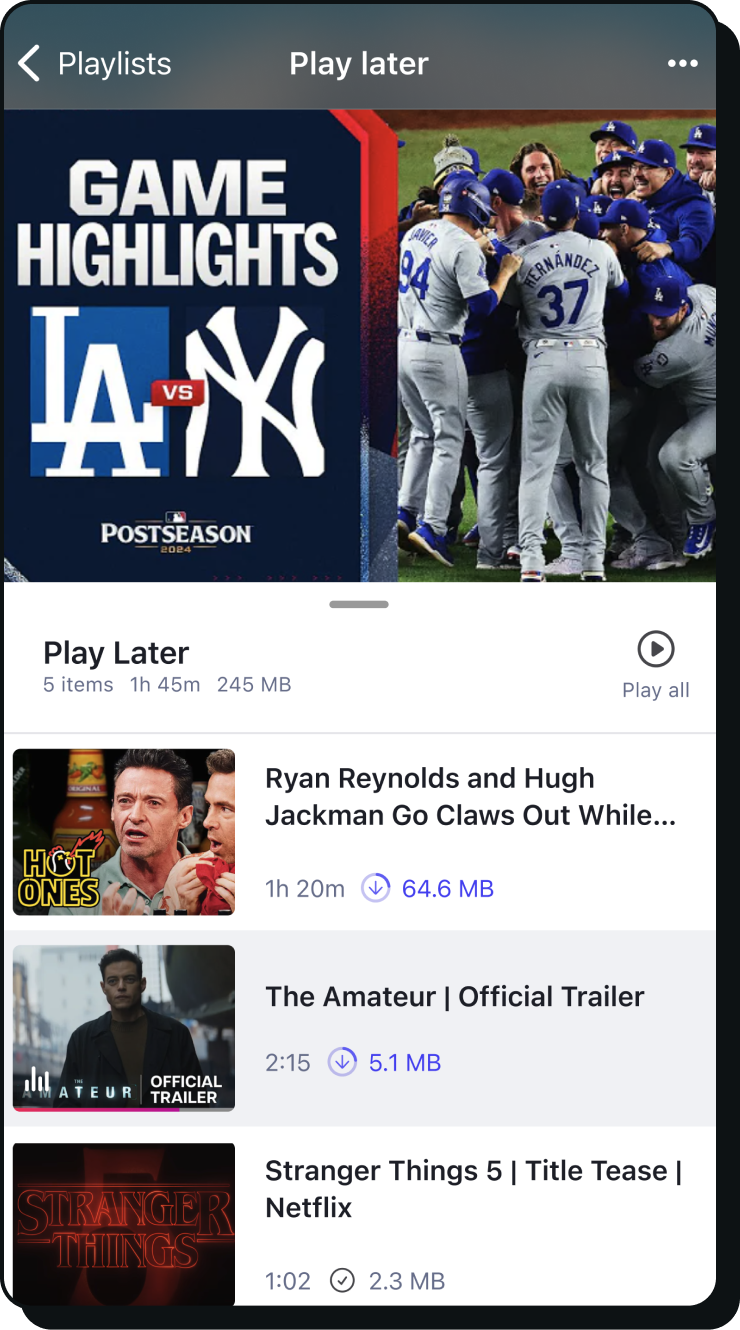 Brave Playlist mobile screenshot